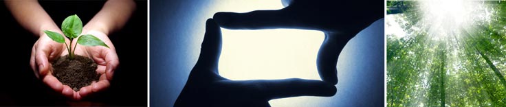 About Clear Change Group Business and Leadership Coaching